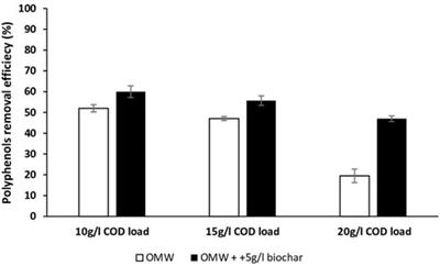 Role of biochar in anaerobic microbiome enrichment and methane production enhancement during olive mill wastewater biomethanization